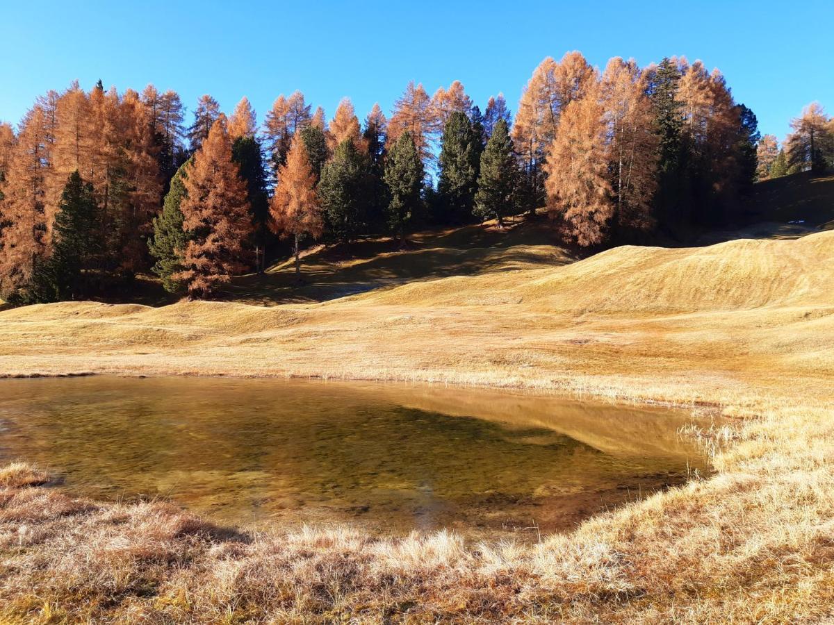 Garni Franca B&B Сельва-ді-Валь-Гардена Екстер'єр фото